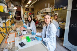 Prova notizia scienze